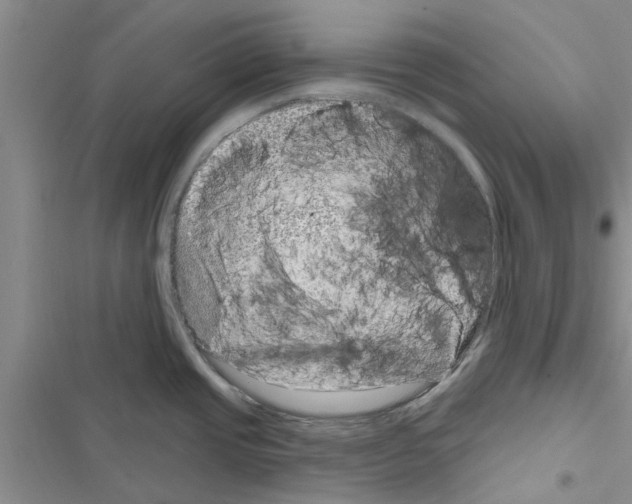 X0000116631437201001221351