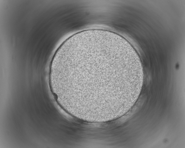 X0000116631438201001221351