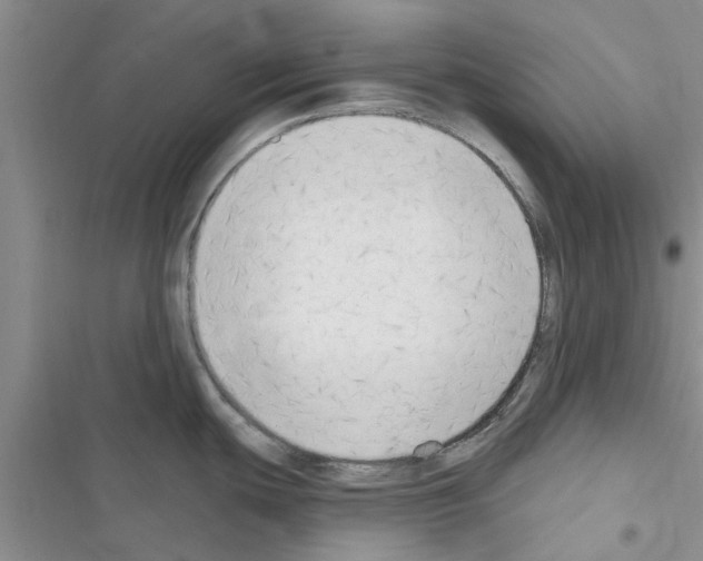 X0000116631439201001221351