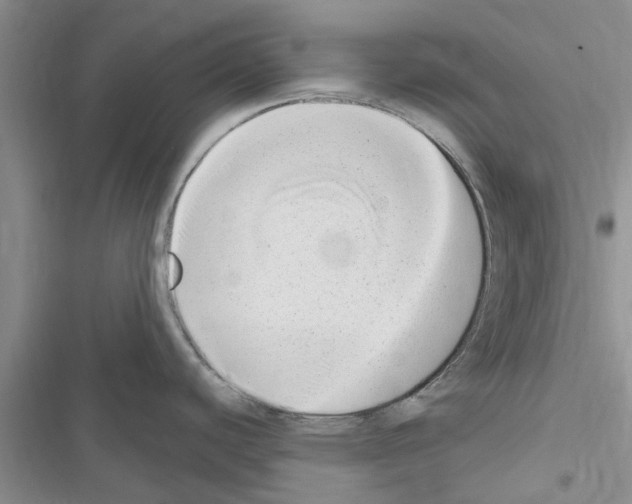 X0000116631440201001221351