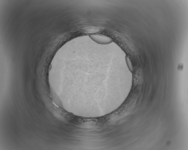 X0000116631441201001221351