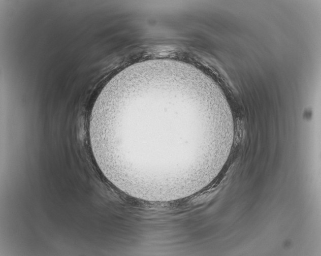 X0000116631442201001221351