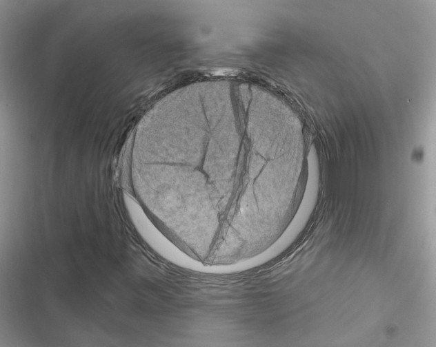 X0000116631443201001221351