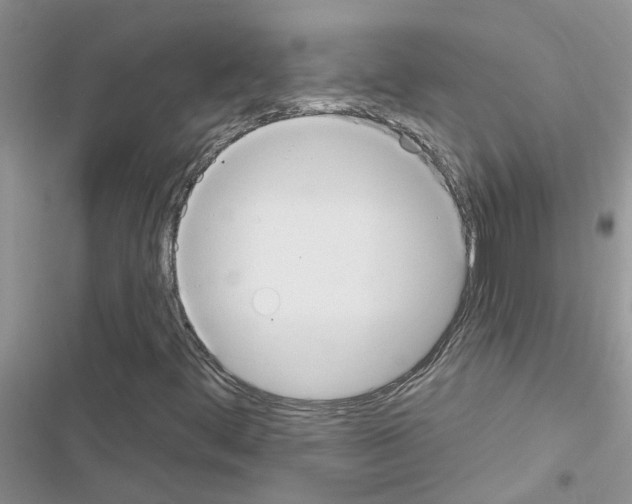 X0000116631444201001221351