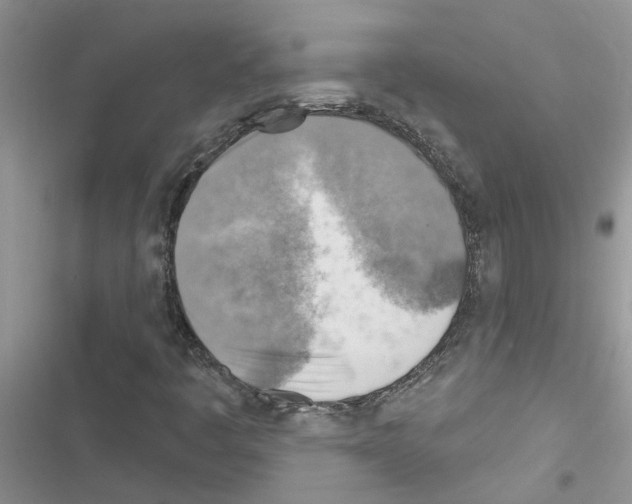 X0000116631445201001221351