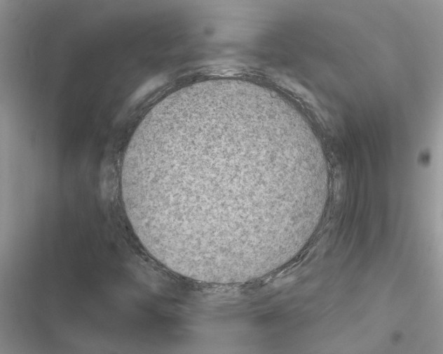 X0000116631446201001221351