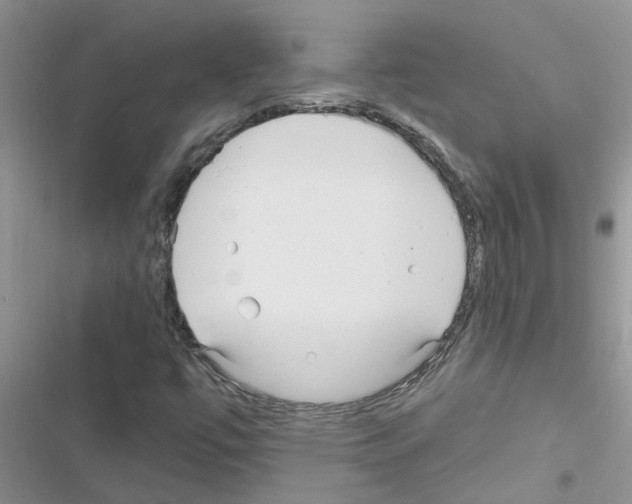 X0000116631447201001221351