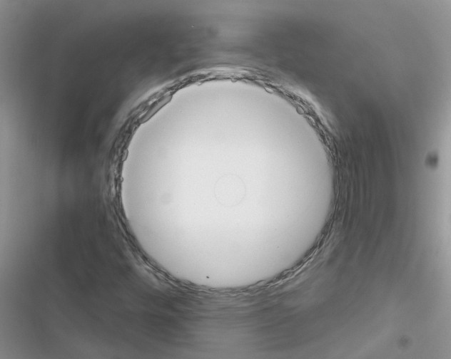 X0000116631448201001221351