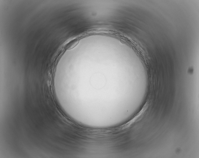 X0000116631449201001221351