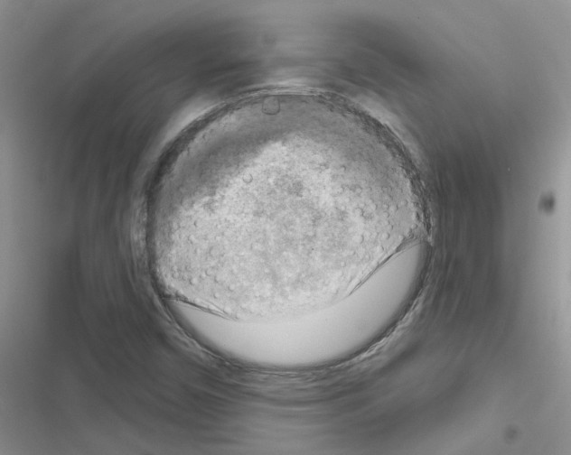 X0000116631450201001221351