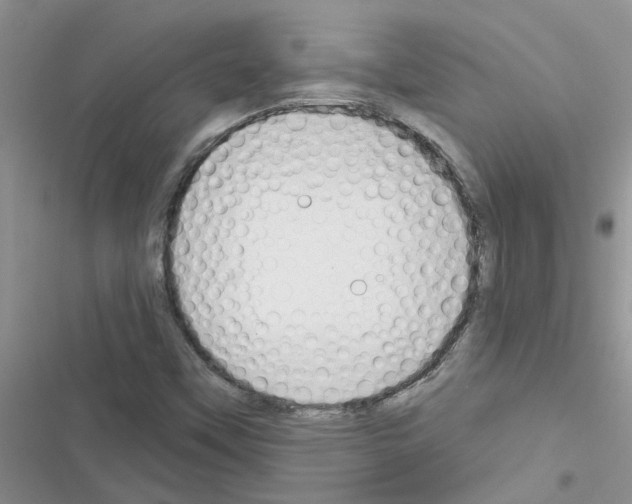 X0000116631451201001221351