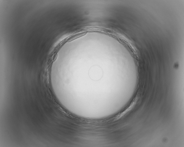 X0000116631453201001221351