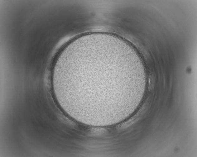 X0000116631454201001221351