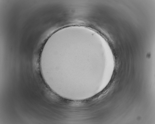 X0000116631455201001221351
