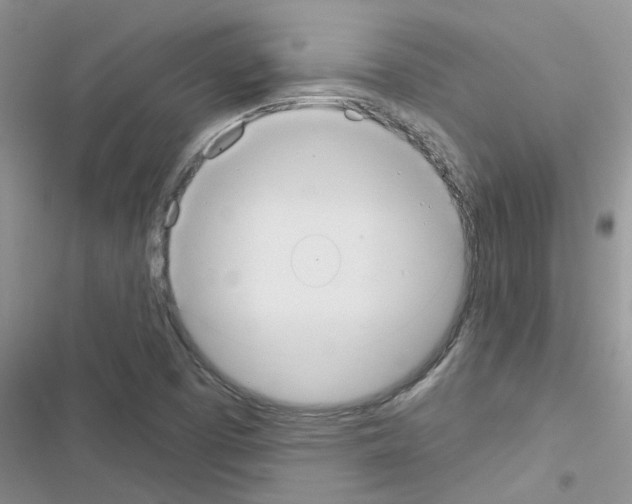 X0000116631457201001221350