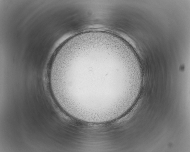 X0000116631458201001221350