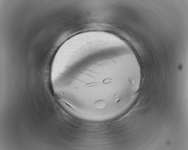 X0000116631459201001221350