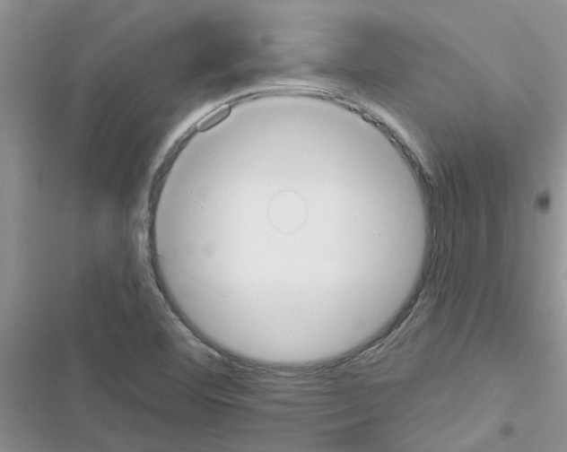 X0000116631460201001221350