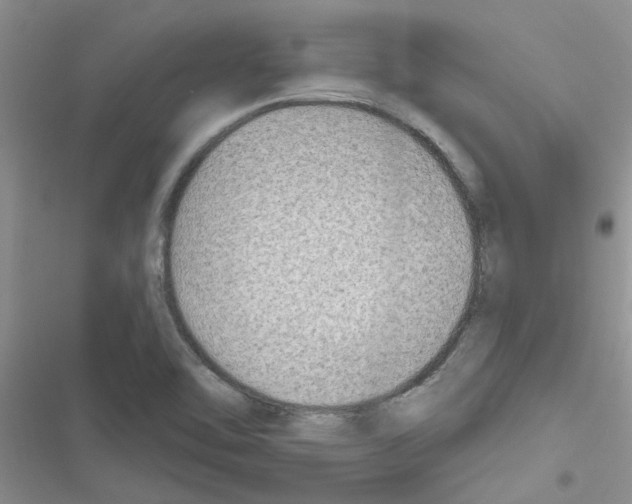 X0000116631462201001221350