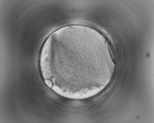 X0000116631463201001221350