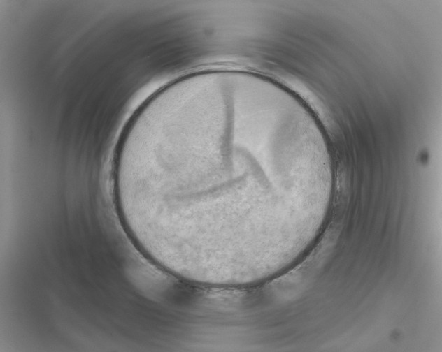 X0000116631466201001221350