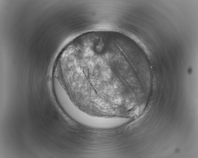 X0000116631469201001221350