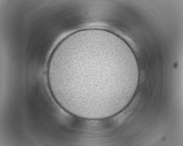 X0000116631470201001221350