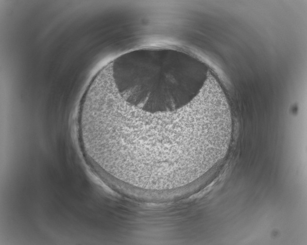 X0000116631471201001221350