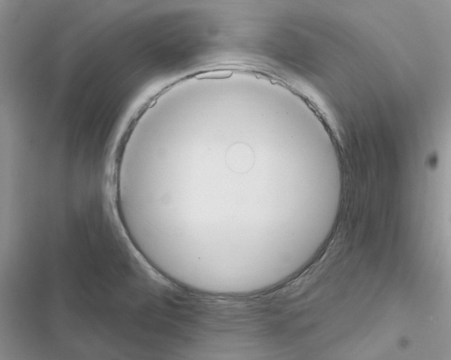X0000116631472201001221350