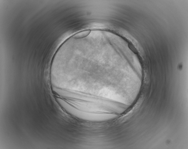 X0000116631473201001221350