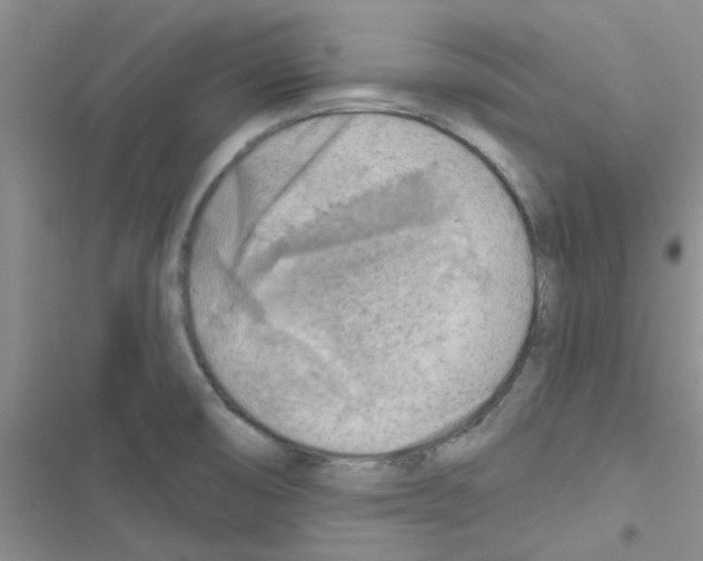 X0000116631474201001221350