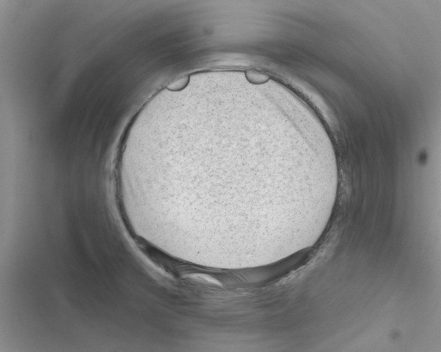X0000116631475201001221350