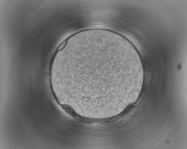 X0000116631476201001221350