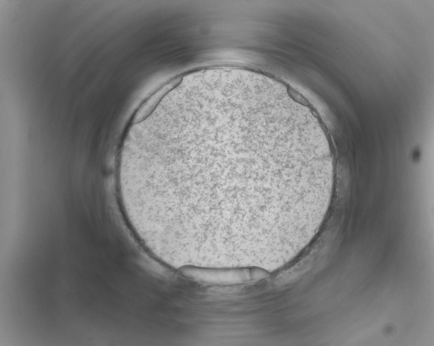 X0000116631477201001221350