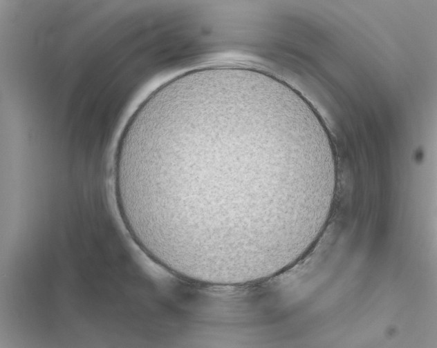 X0000116631478201001221350
