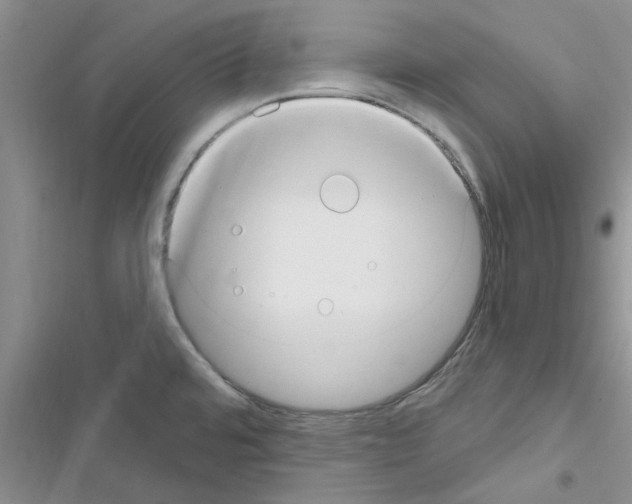 X0000116631480201001221350
