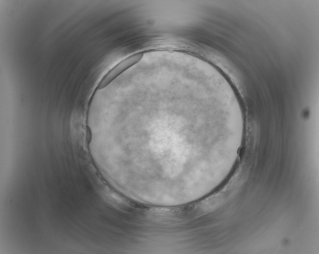 X0000116631481201001221350