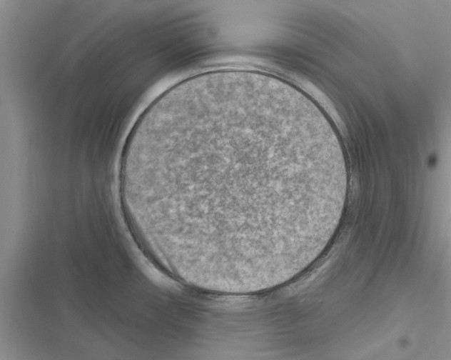 X0000116631482201001221350