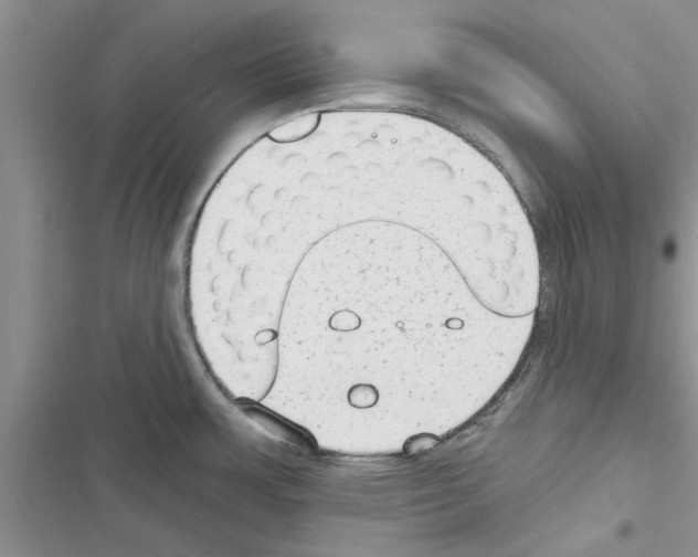 X0000116631483201001221350