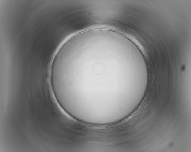 X0000116631484201001221350