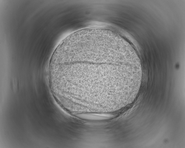 X0000116631487201001221350