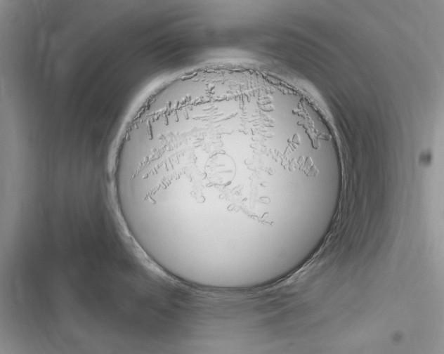 X0000116631488201001221350