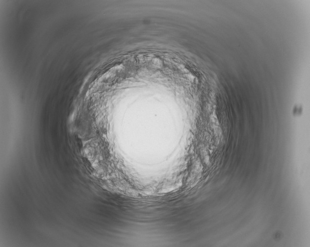X0000116631489201001221349