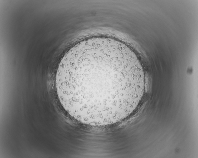 X0000116631491201001221349