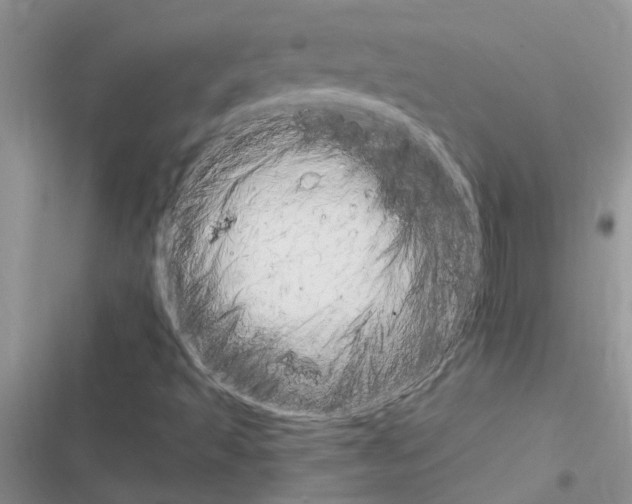 X0000116631493201001221349