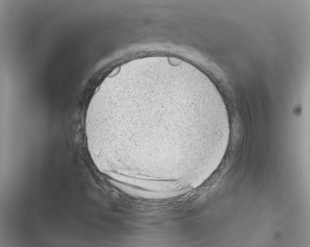 X0000116631494201001221349