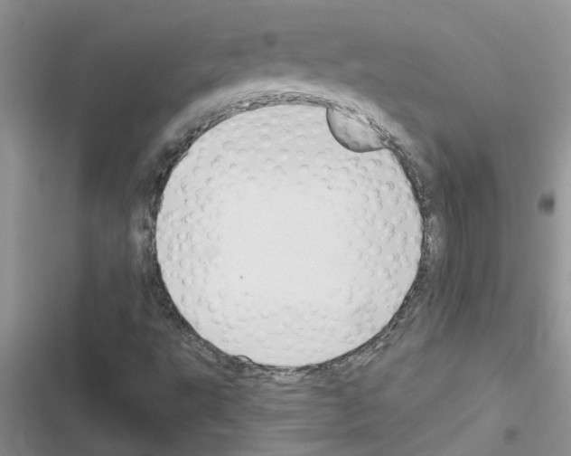 X0000116631495201001221350