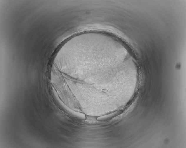 X0000116631497201001221350