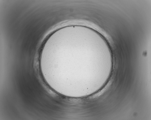X0000116631498201001221350
