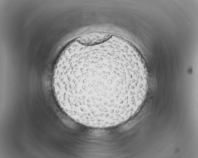 X0000116631499201001221350